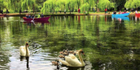 Drilon National Park & Return to Tirana